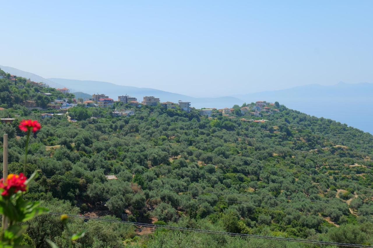 Bed and breakfast Vila Panorama Piqeras Extérieur photo