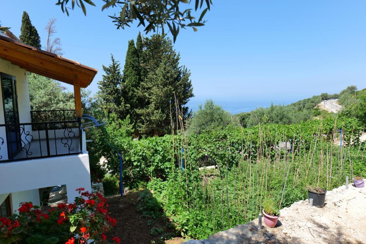 Bed and breakfast Vila Panorama Piqeras Extérieur photo