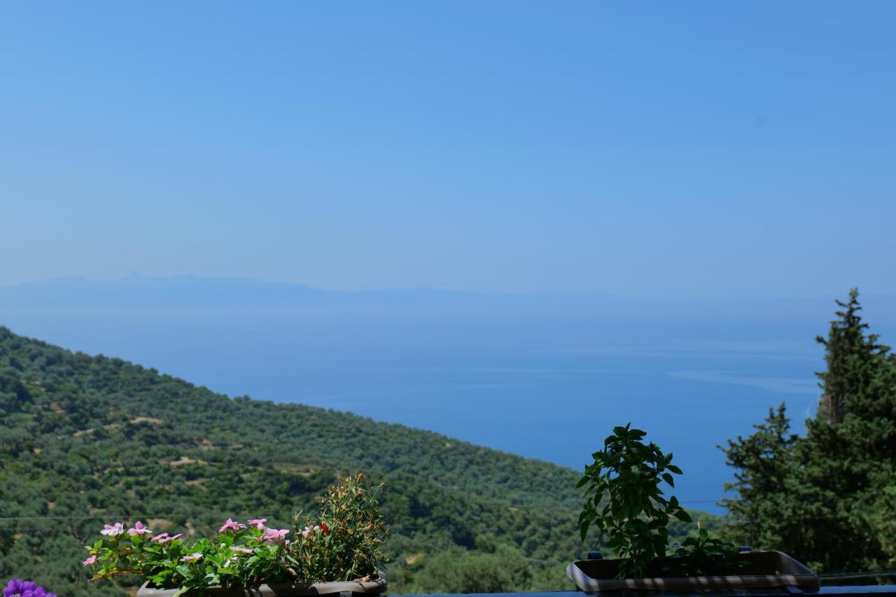 Bed and breakfast Vila Panorama Piqeras Extérieur photo